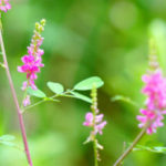 那須地区在宅医療・介護連携支援センター